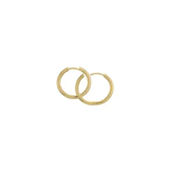 20 mm BNH Creoler øreringe i 14 karat guld