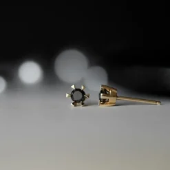 2 x 0,21 ct sorte solitaireørestikker i 14 karat guld med sort diamant