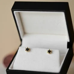2 x 0,21 ct sorte solitaireørestikker i 14 karat guld med sort diamant