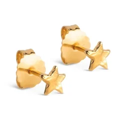 Enamel Star Energy ørestikker i forgyldt sølv