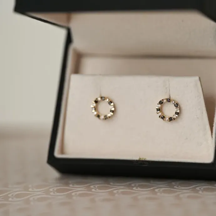 Runde sorte diamant ørestikker i 14 karat guld med diamant og sort diamant